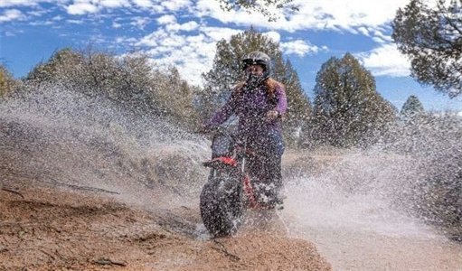Coleman B200 Mini Bike - Image 7